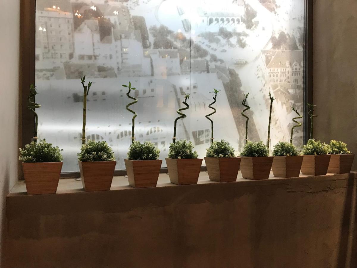 Design Hotel 36 索菲亞 外观 照片